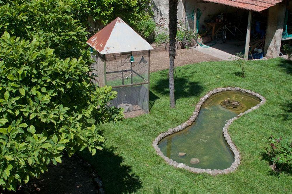 ピサ Borgo Largo 51 Bed & Breakfast エクステリア 写真